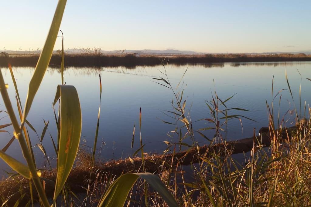 Beachfront House, Valencia, Wifi, Paddle Surf Board, Incredible Views Sueca Exteriör bild