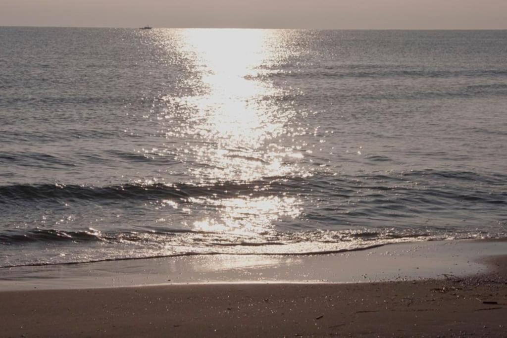 Beachfront House, Valencia, Wifi, Paddle Surf Board, Incredible Views Sueca Exteriör bild